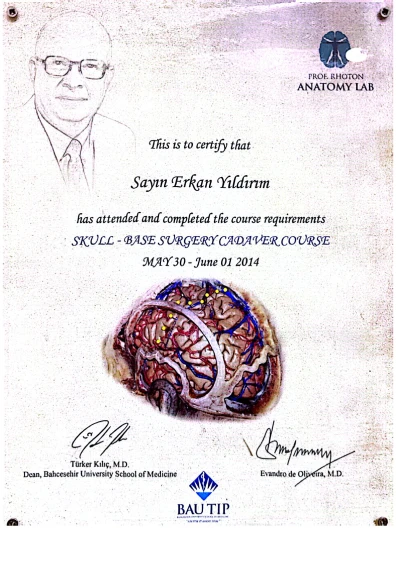 Prof. Rhoton Anatomy Lab